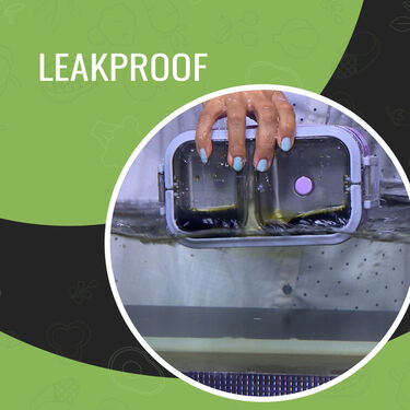 2 Layer Airtight & Leakproof Steel Insulated Lunch Box (2LILB1)