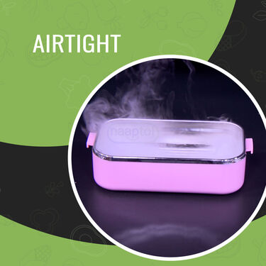 2 Layer Airtight & Leakproof Steel Insulated Lunch Box (2LILB1)