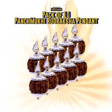 Pack of 10 Panchmukhi Rudraksha Pendant (MPN3)
