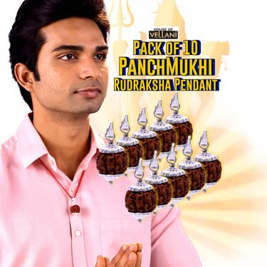 Pack of 10 Panchmukhi Rudraksha Pendant (MPN3)