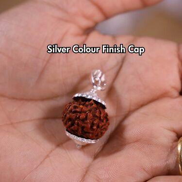 Pack of 10 Panchmukhi Rudraksha Pendant (MPN3)
