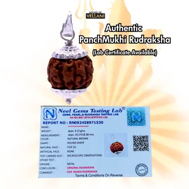 Pack of 10 Panchmukhi Rudraksha Pendant (MPN3)