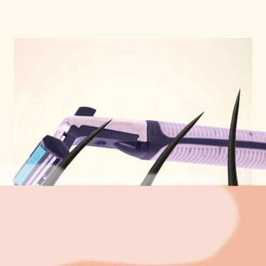 Beard Softening Oil (MGB1)