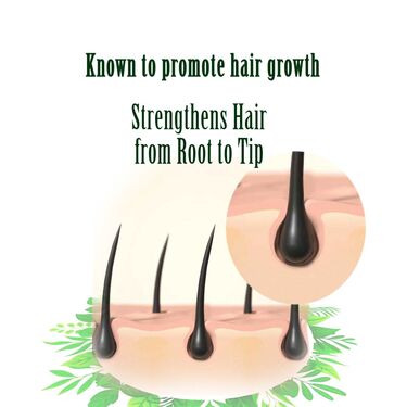 Ayurvedic Jadi Buti & Nature Leaf Bhringraj Hair Oil (ATBHO)