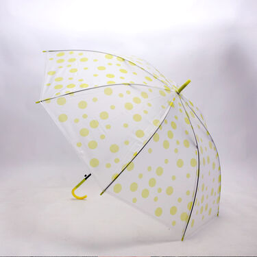 Buy 1 Get 1 Transparent Multi Colour Umbrellas (2U1)