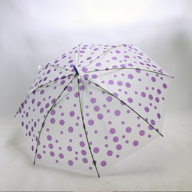 Buy 1 Get 1 Transparent Multi Colour Umbrellas (2U1)
