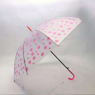 Buy 1 Get 1 Transparent Multi Colour Umbrellas (2U1)