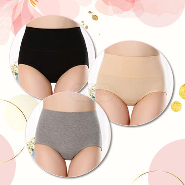 Pack of 3 High Waist Shapewear Panty (3HWSP1)