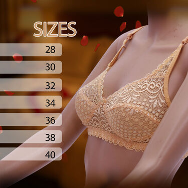 Designer Lacey Honeymoon Bra Buy 2 Get 2 Free (4PBR1)