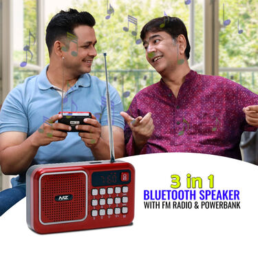 Rechargeable Radio With Bluetooth And Power Bank Function (BLS4)