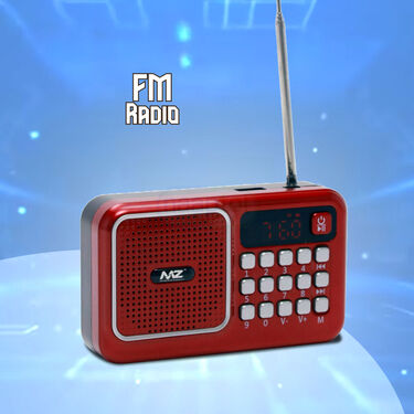 Rechargeable Radio With Bluetooth And Power Bank Function (BLS4)