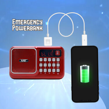 Rechargeable Radio With Bluetooth And Power Bank Function (BLS4)