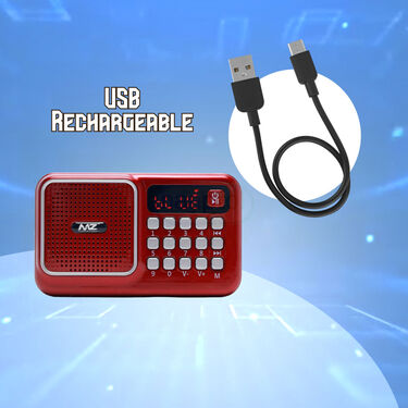 Rechargeable Radio With Bluetooth And Power Bank Function (BLS4)