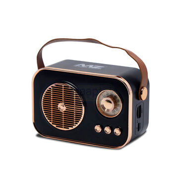 Wireless High Bass Portable Speaker (BLS5)