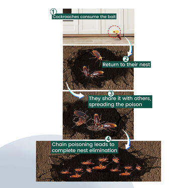 Powerful Crockroach Killer Gel For A Cockroach Free Home (CROGEL)