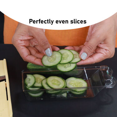 Dry Fruit Slicer (DFS2)