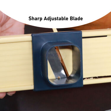 Dry Fruit Slicer (DFS2)