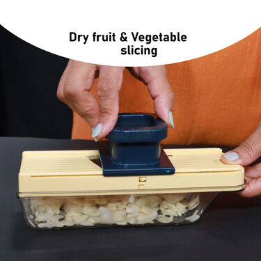 Dry Fruit Slicer (DFS2)
