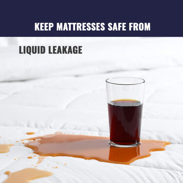 Water Proof Printed Double Bed Mattress Protector Sheet (DMP10)