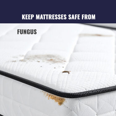 Water Proof Printed Double Bed Mattress Protector Sheet (DMP10)