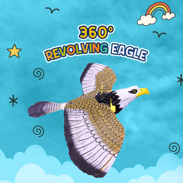 360 Degree Revolving Eagle – Naaptol