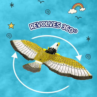 360 Degree Revolving Eagle