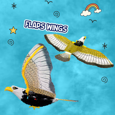 360 Degree Revolving Eagle