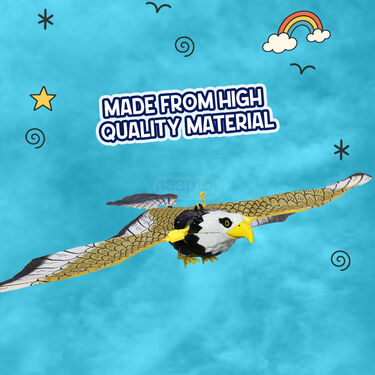 360 Degree Revolving Eagle