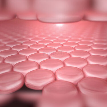 Anti Chafing Cream For Skin & Rashes (MOCC)