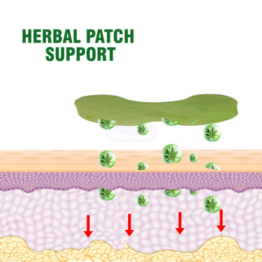 Herbal Pain Relief Knee Patch (MSKP)