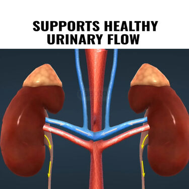 Pathari Nashak Combo (NUTRA1)