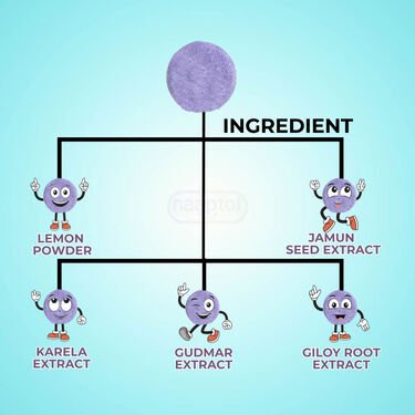 Natural Karela Jamun Sugar Control Wellness Drink - Buy 1 Get 1 Free (NUTRA3)
