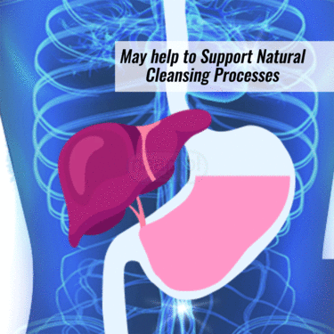 Liver Detox Wellness Drink B1G1 ( NUTRA5)