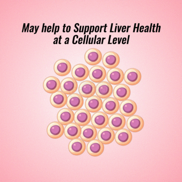 Liver Detox Wellness Drink B1G1 ( NUTRA5)