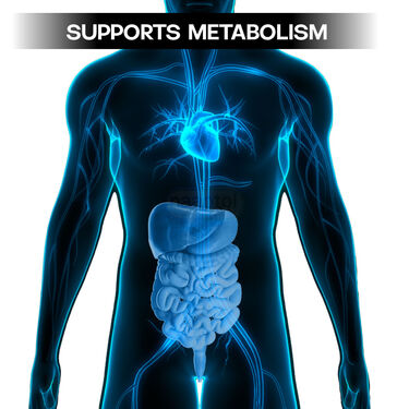 Nabhi Oil For Digestion