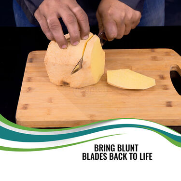 Electric Knives Sharpener (PD31)