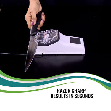 Electric Knives Sharpener (PD31)