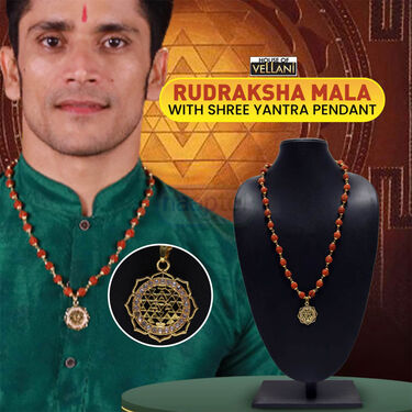 Rudraksh Mala With Shree Yantra Pendant (SYPRM2)