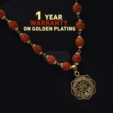 Rudraksh Mala With Shree Yantra Pendant (SYPRM2)