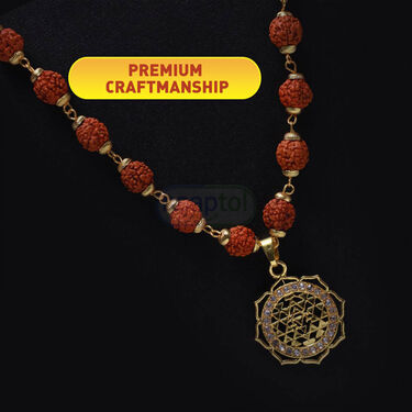 Rudraksh Mala With Shree Yantra Pendant (SYPRM2)